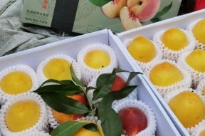 专业娱乐吃瓜圈