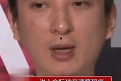 娱乐圈吃瓜熊猫,熊猫视角下的吃瓜盛宴